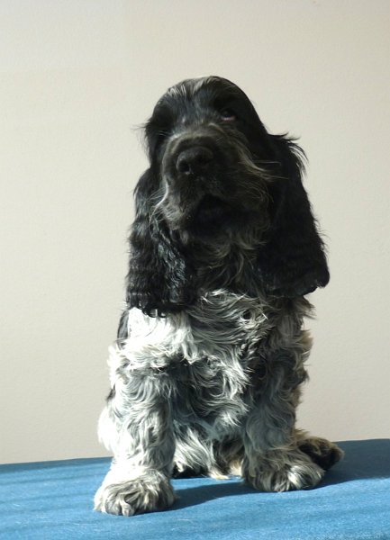 10-Egon.JPG - 9-Egon.JPG