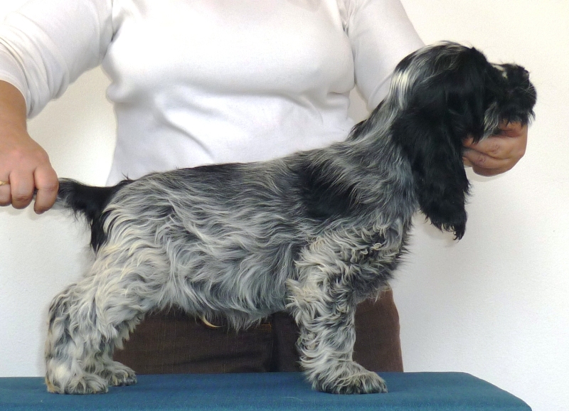 11-Egon.JPG - 11-Endy.JPG