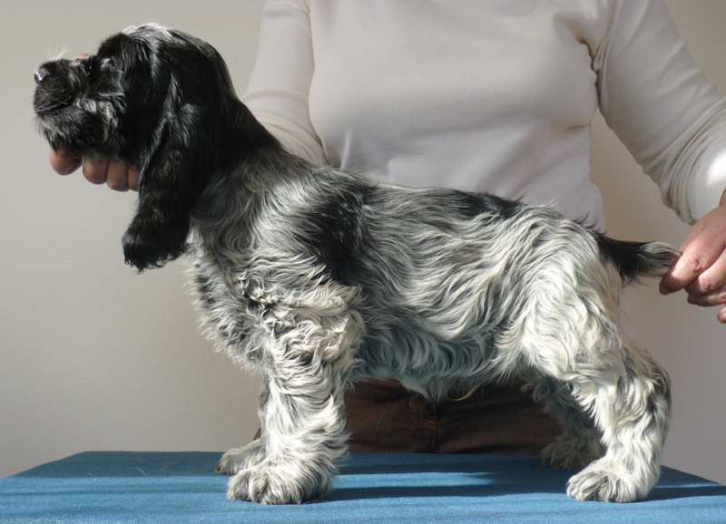 12-Egon.JPG - 12-Endy.JPG