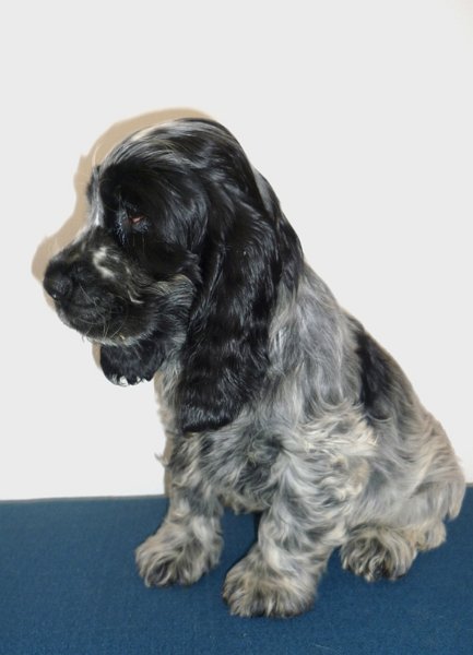 13-Egon.JPG - 13-Endy.JPG