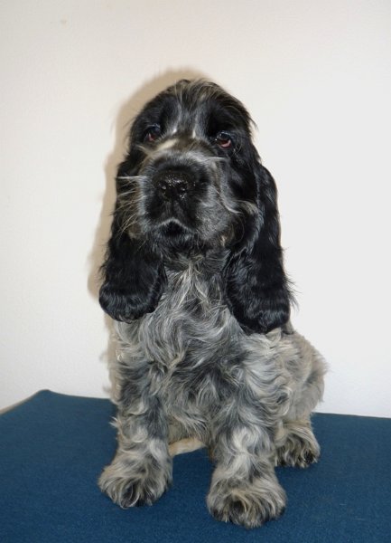 14-Egon.JPG - 14-Endy.JPG