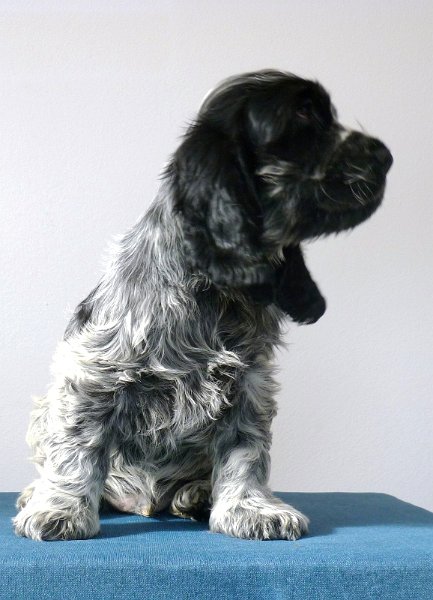 15-Egon.JPG - 15-Endy.JPG