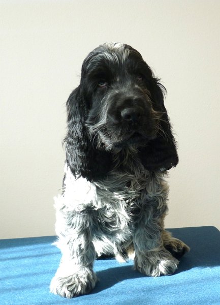 9-Egon.JPG - 10-Egon.JPG