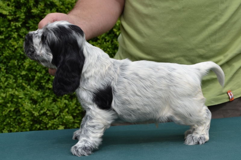 2-Cris.JPG - 2-Chris