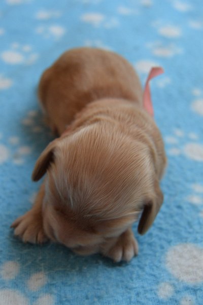 4-fenka.JPG - 4-fenka Rita.JPG